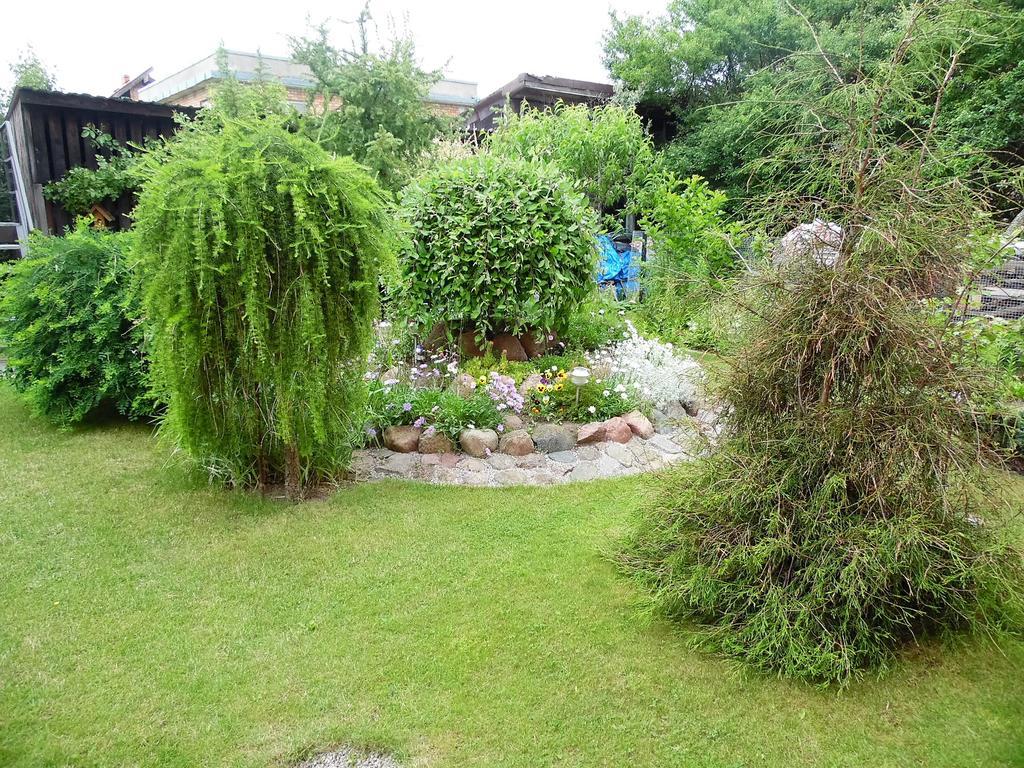 Zelta Pirts Guest House Ventspils Eksteriør bilde